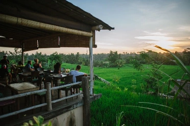 Best Restaurants with Rice Paddy Views in Bali