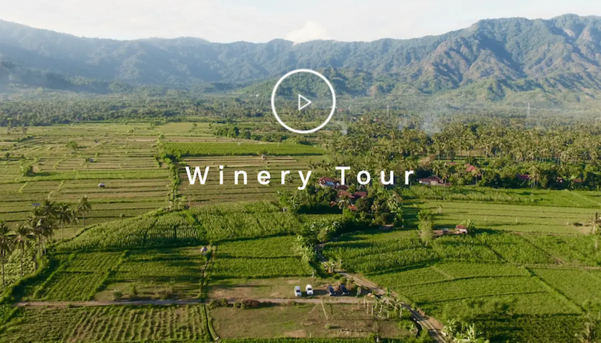 Bali- Locally Made Wines and Must Visit Wineries