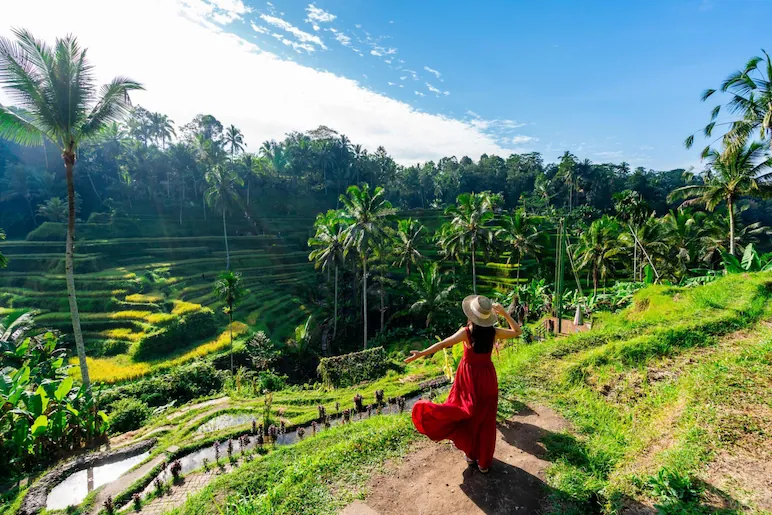 Best Eat, Drink, Pose, and Play Destinations in Ubud