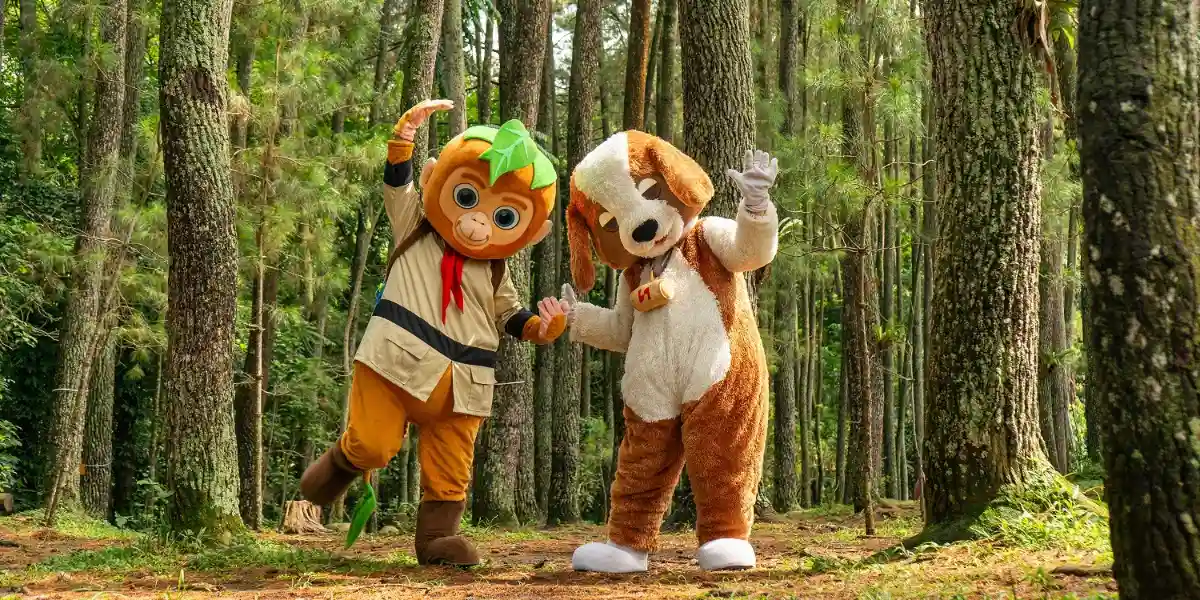 Stay and Forest Package at Swiss-Belresort Dago Heritage