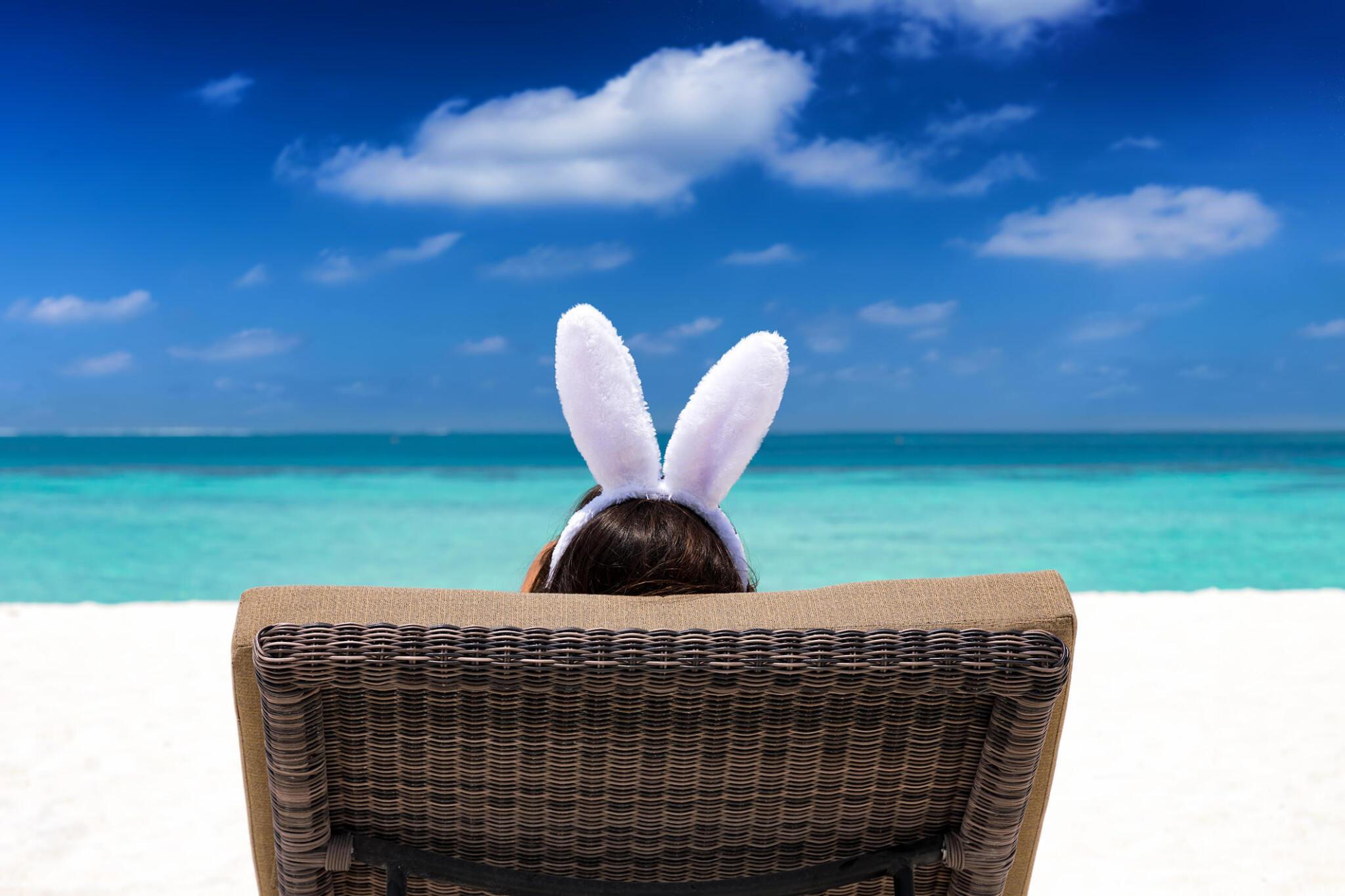 easter bunny