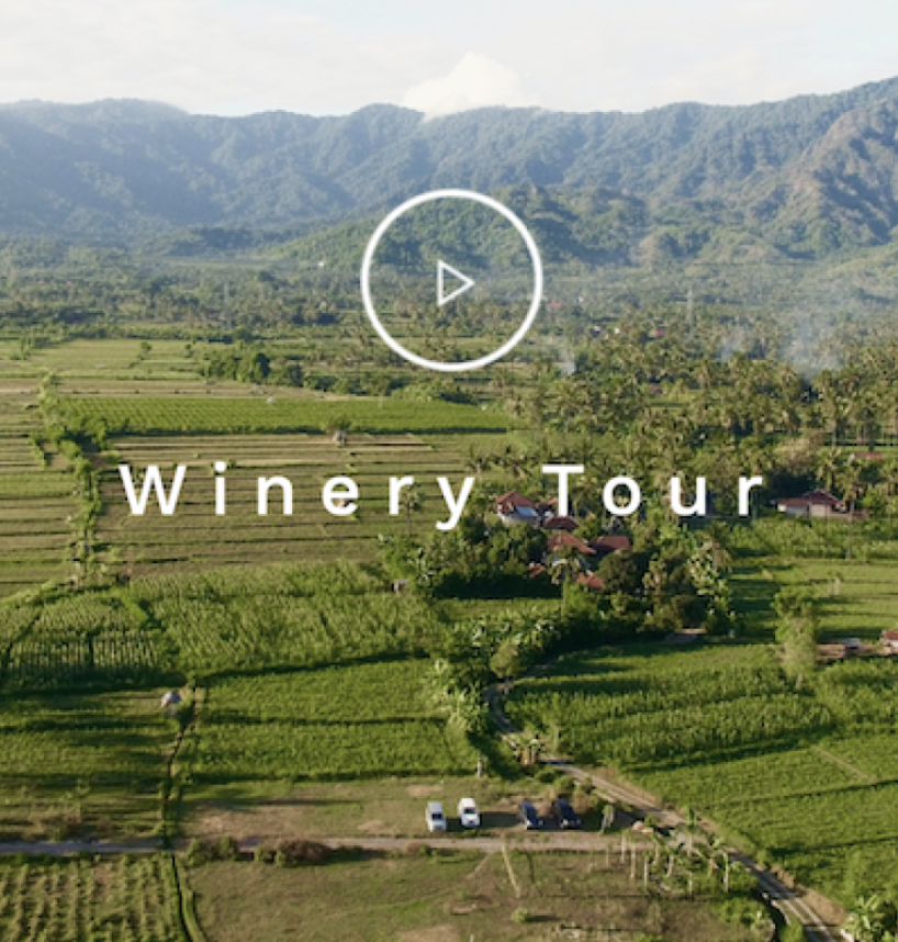  Bali: Locally Made Wines and Must Visit Wineries
