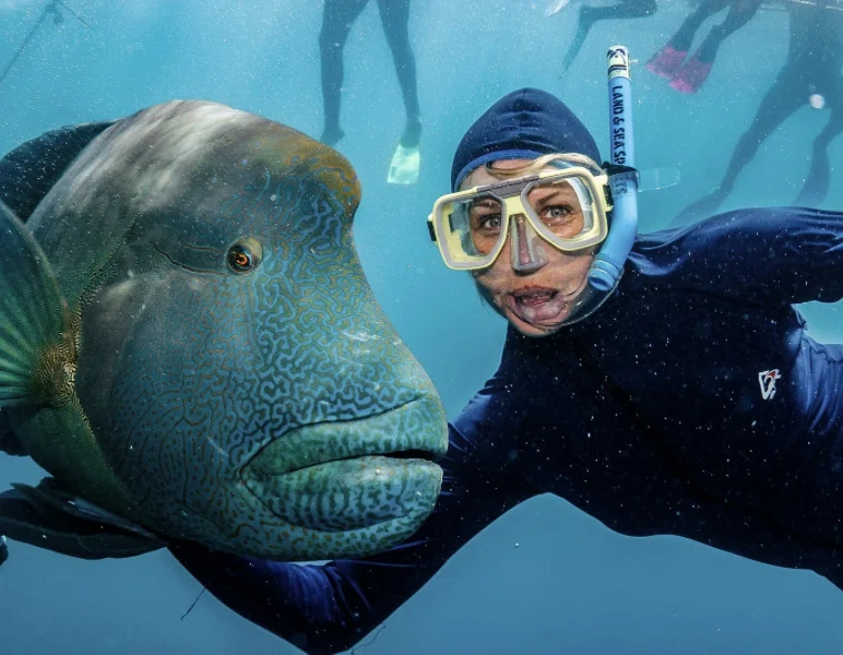 Snorkeling spots in east java
