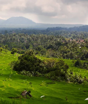 Why You Must Visit Karangasem CARD
