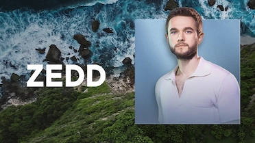Zedd at Savaya Zedd at Savaya