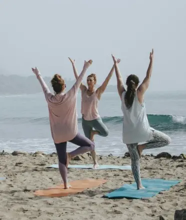 newsletter best wellness