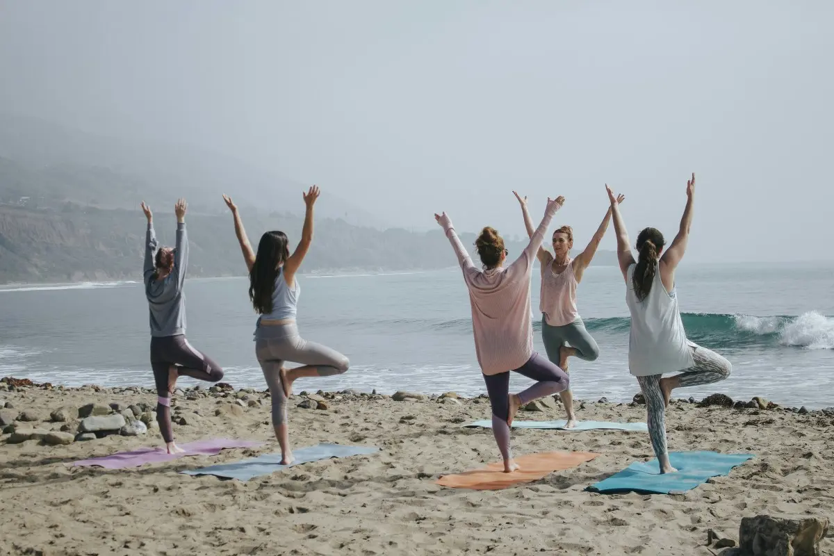 newsletter best wellness