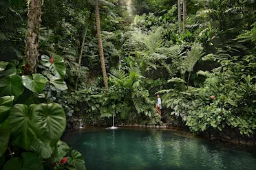 A Sanctuary Reimagined: COMO Shambhala Estate Unveils A New Era of Hollistic Wellness