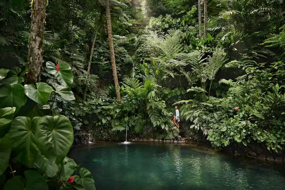A Sanctuary Reimagined: COMO Shambhala Estate Unveils A New Era of Hollistic Wellness