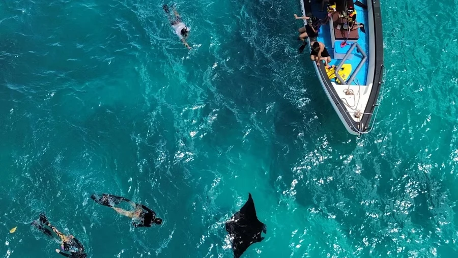 Nusa Penida Boat Adventure