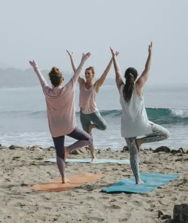 newsletter global wellness day