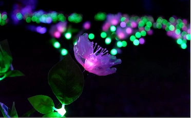 Nusa Dua Light Festival Nusa Dua Light Festival