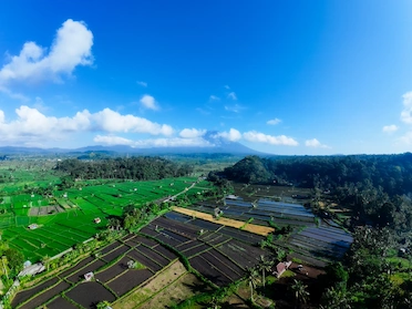The Spirit of the Island: Arak Bali Experience It at White Rock Beach Club