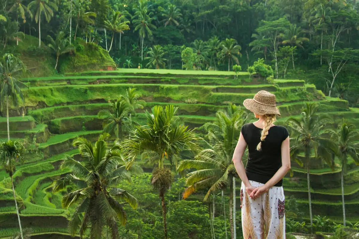 Female Tourist Looking Over Lush Paddy Field in Ubud