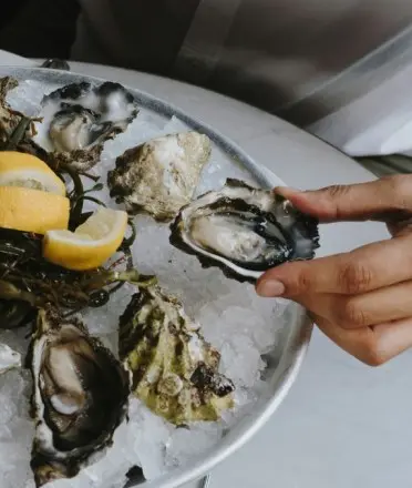 Best Oysters Jakarta Best Oysters Jakarta