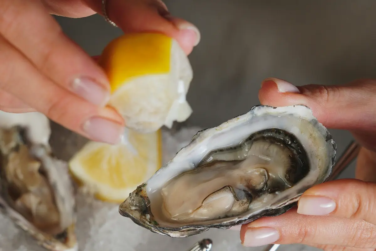 Best Places to Get Oysters in Bandung