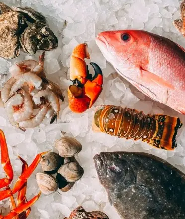 best -jakarta-restaurant-seafood