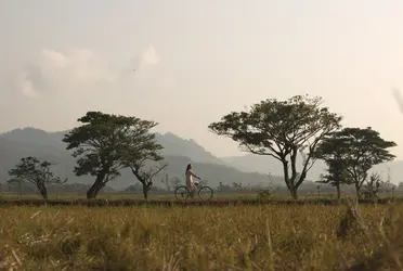 Garrya_Bianti_Yogyakarta_Where_Serenity_Meets_Michelin_Key_Luxury Garrya_Bianti_Yogyakarta_Where_Serenity_Meets_Michelin_Key_Luxury