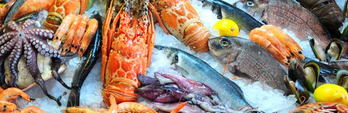 Seafood_Show_of_Asia_2025 Seafood_Show_of_Asia_2025