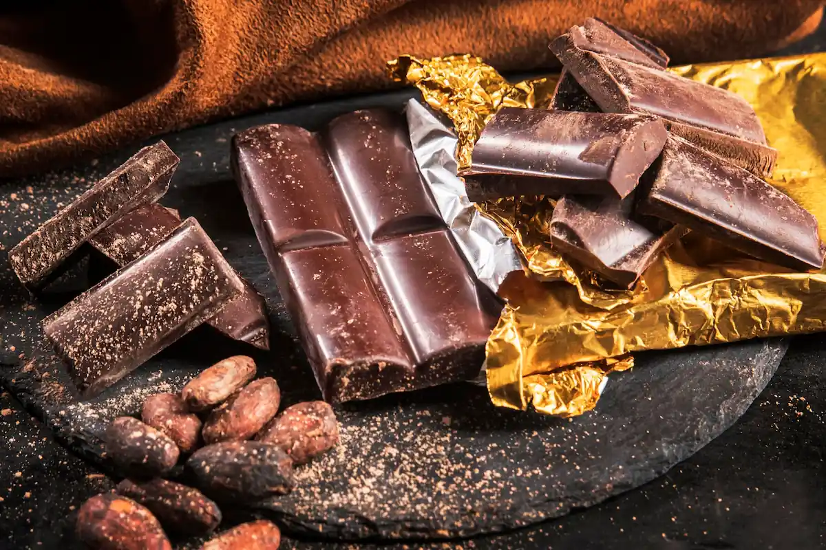 Homemade Artisan Chocolate Bar