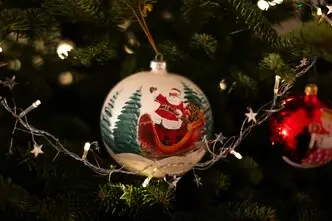 Fun fact Santa Claus real 1