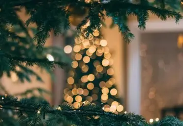 newsletter christmas