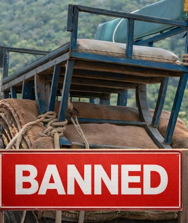 Elephant Saddle Banned Sign AI Illustration