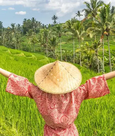 Female Tourist Bali Paddy Field