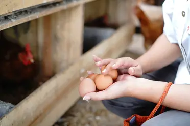 Garrya_Bianti_Yogyakarta_Adapts_Regenerative_Hospitality