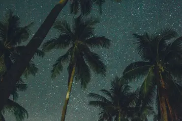 Nyepi in Bali: A Complete Guide to the Island of the God’s Day of Silence