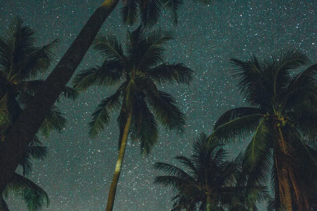 Nyepi in Bali: A Complete Guide to the Island of the God’s Day of Silence