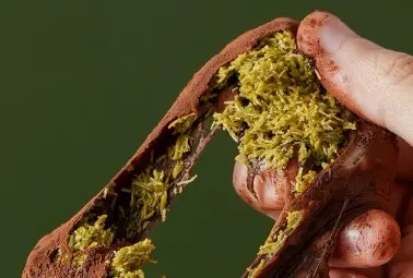 pistachio chocolate kunafa