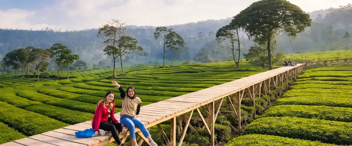 Women enjoying a tea plantation view