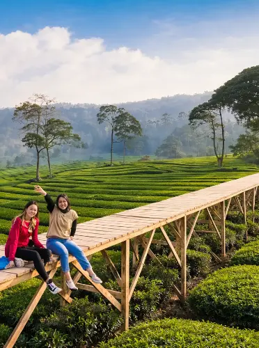 Women enjoying a tea plantation view