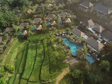 RICE-FIELDS-AERIAL-VIEW-MANDAPA-BALI