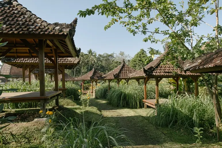 kinar village 1