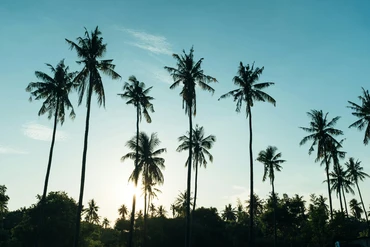 Bali Discusses New Building Height Policy
