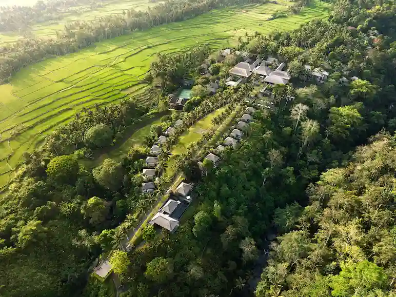 Maya Ubud Resort & Spa