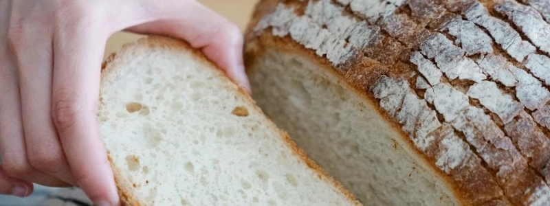 Hand_holding_the_bread