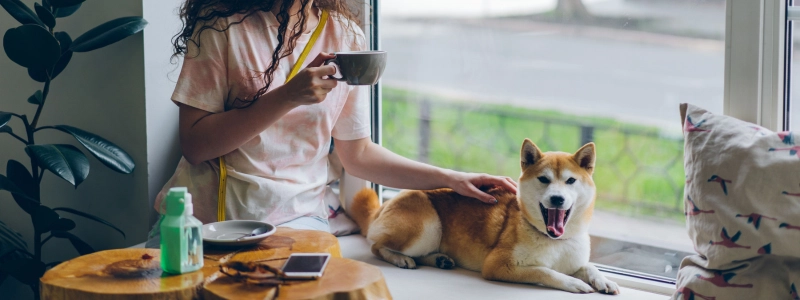 A_woman_with_a_dog_in_a_cafe