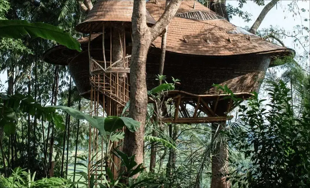 eco bambu hotel room in the forrest
