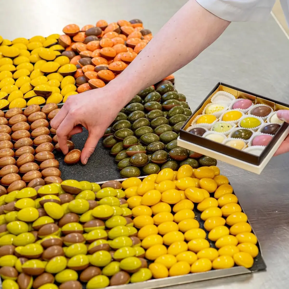 Beautiful_chocolate_display