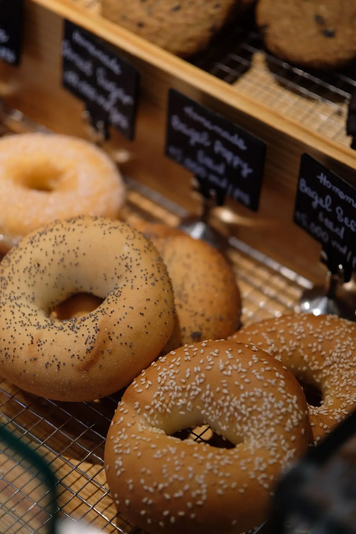 Assorted freshly baked bagels displayed in a bakery