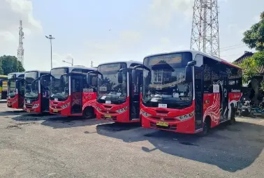red buses on the parking lot