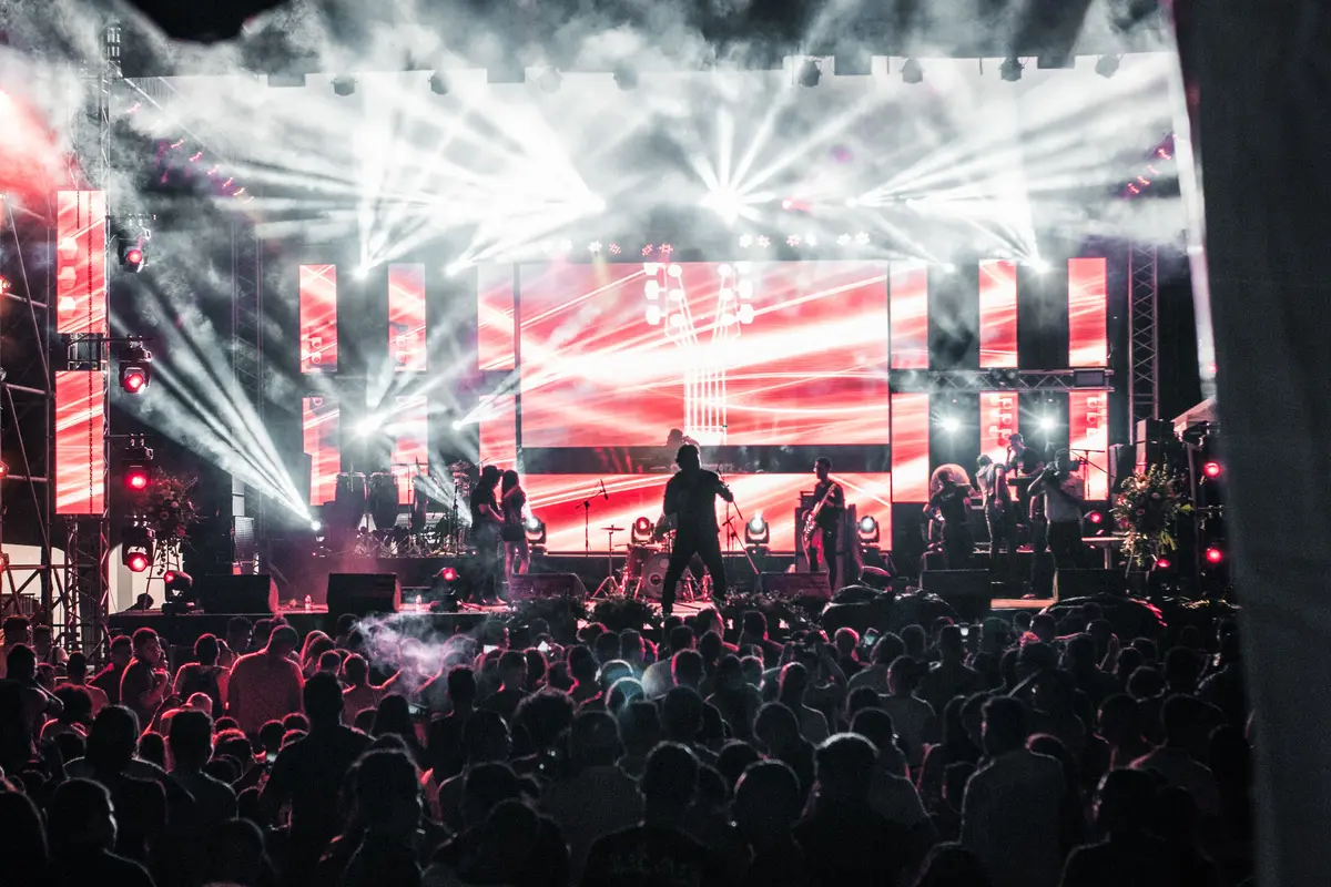 Crowd_of_people_watching_concert