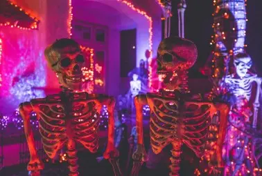 skeleton halloween