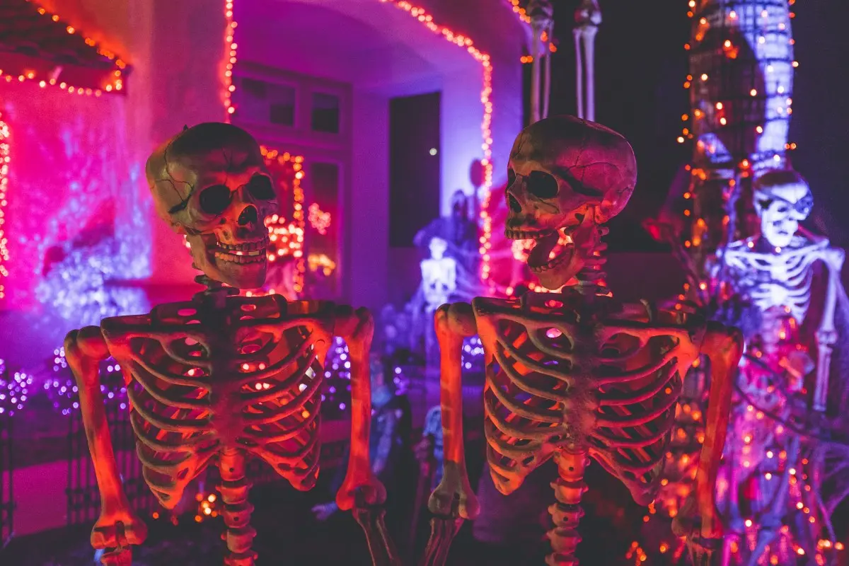 skeleton decorations light halloween