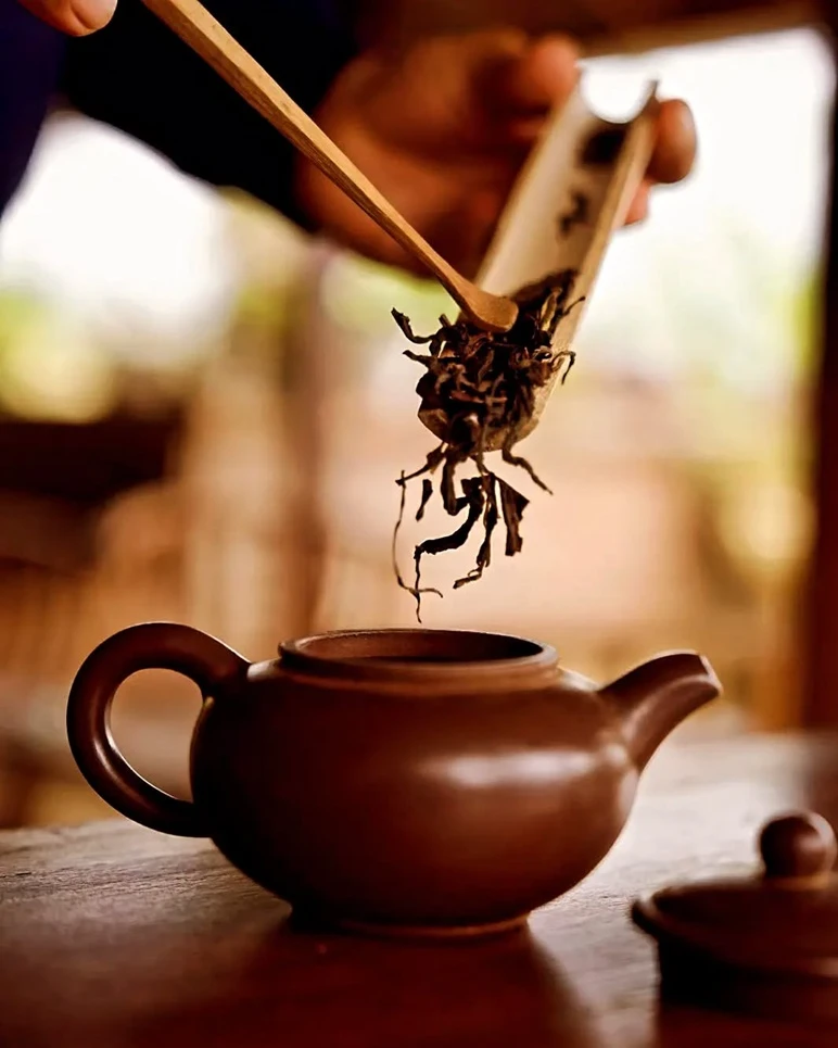 Best Tea Houses in Bali: A Tranquil Journey Through Tea Culture