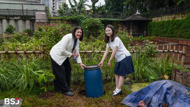 bsj tree planting wellbeing 