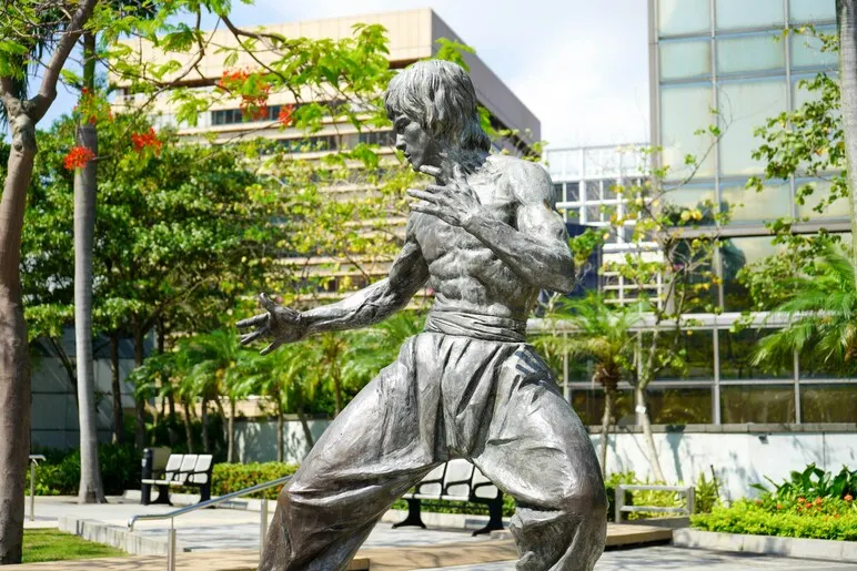 bruce lee hong kong kung fu 